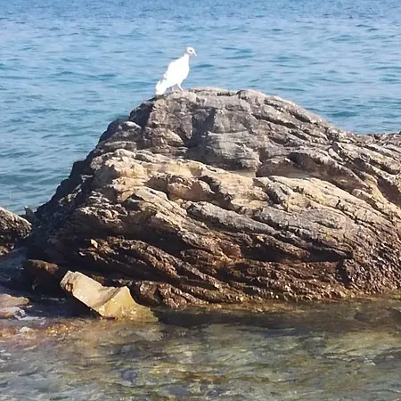 Antonia Nakic -stobrec * スプリト